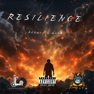 Resilience - Single