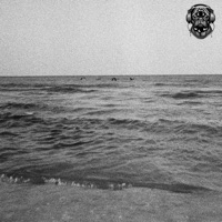 beachcomber - Single - easy, now