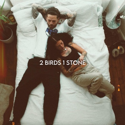 2 birds 1 stone - Single