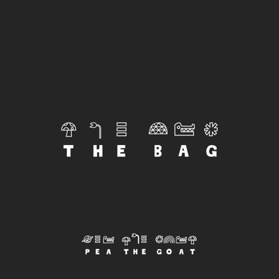The Bag (feat. Audience Economy) - Single