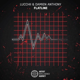 Flatline Lucchii & Damien Anthony