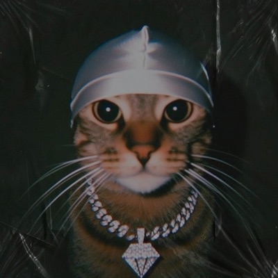 Eu Ja Fiz Questão (feat. MC SABA & Mc Heliton Ag) - Single