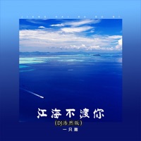 江海不渡你 (Dj浩然版) - Single - 一只雕