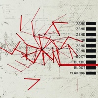 ZSHD (feat. Blackbird, Bloodset, Flowermansion & VALDOXAN) - Single - TRAUMASQUAD