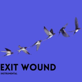 Exit Wound (Official Instrumental) Retro.spect