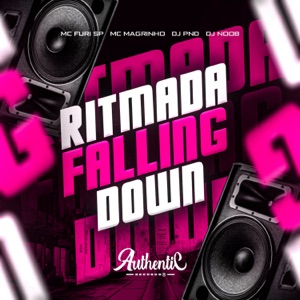 Ritmada Falling Down (feat. DJ Noob)