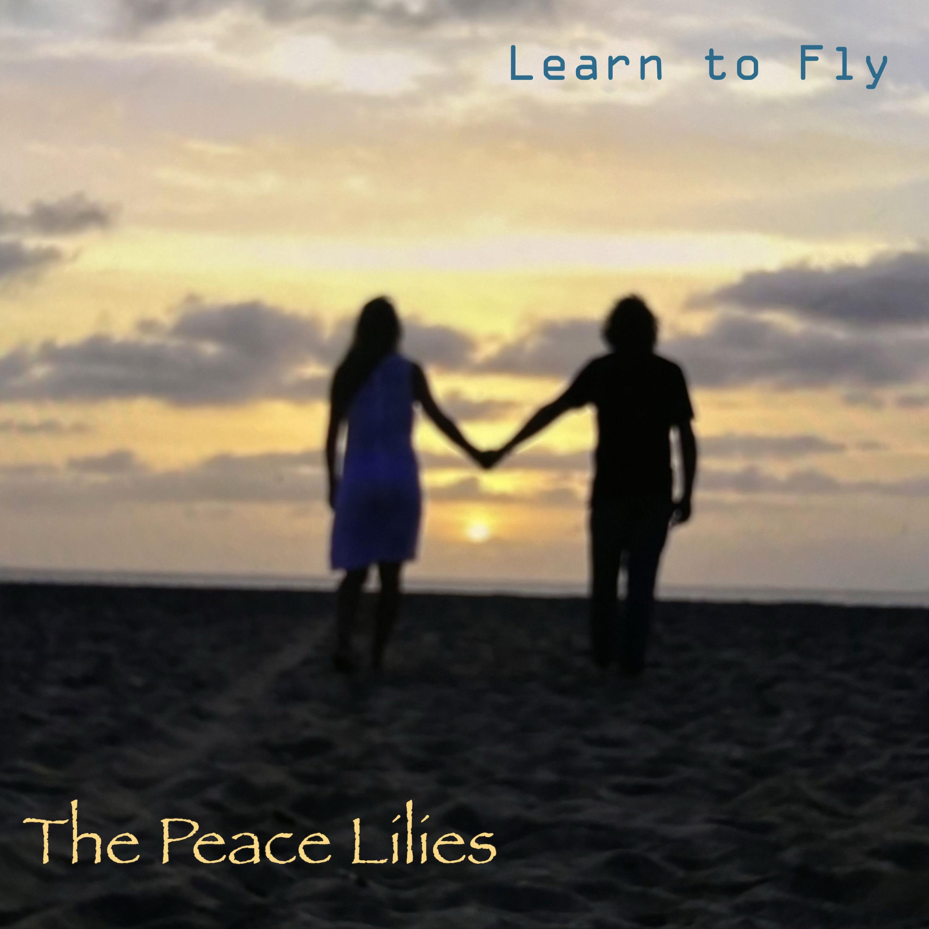 Learn to Fly - Single