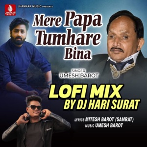 Mere Papa Tumhare Bina (Lofi Mix)