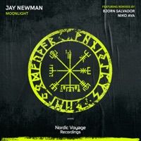 Moonlight - Single - Jay Newman, Bjorn Salvador & Niko Ava