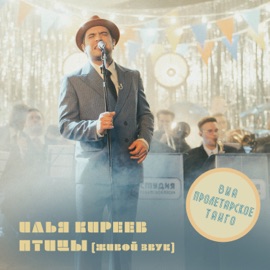 Птицы (LIVE) Ilya Kireev