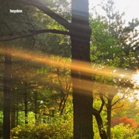 If you say so. - Single - heyden