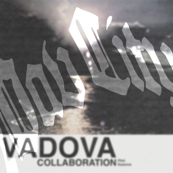 Collaboration