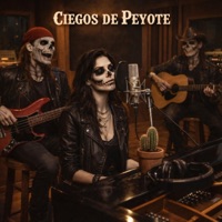 Ciegos de Peyote (feat. Lena Storm) [Acoustic Sessions Vol. 1] - Single - Riesgo Electrico Oficial