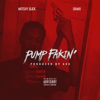 Pump Fakin' - Single - Mitchy Slick & Damu