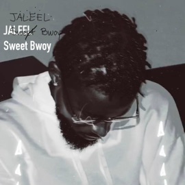 Broke bones (feat. Bas24or & Uchee) Jaleel