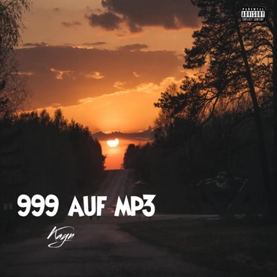 999 Auf Mp3 - Single