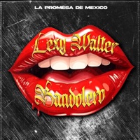 BANDOLERO - Single - Lexy walter