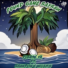 Please Ya (feat. Brandon Pohahau & Will84) Pound Game Baybeh