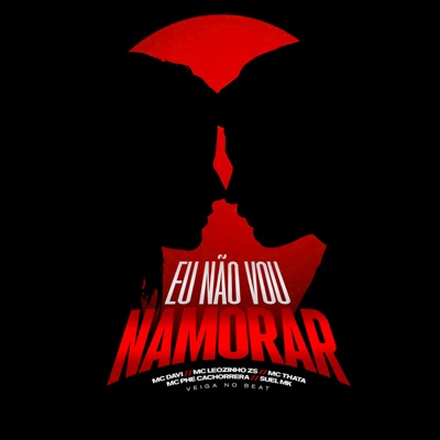Eu Não Vou Namorar (feat. SUELMK & Mc Davi) - Single