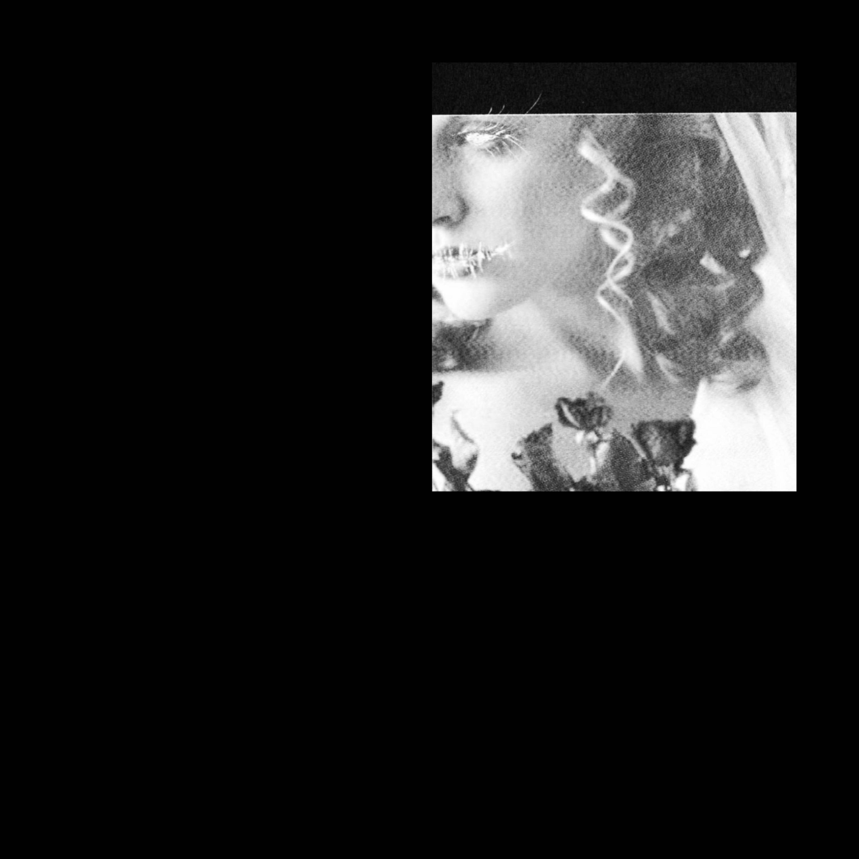 wings of glass - Single