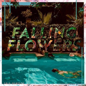 Falling Flowers (feat. Scott Metzger) - Single