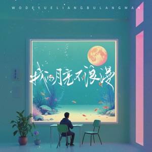 我的月亮不浪漫 - Single