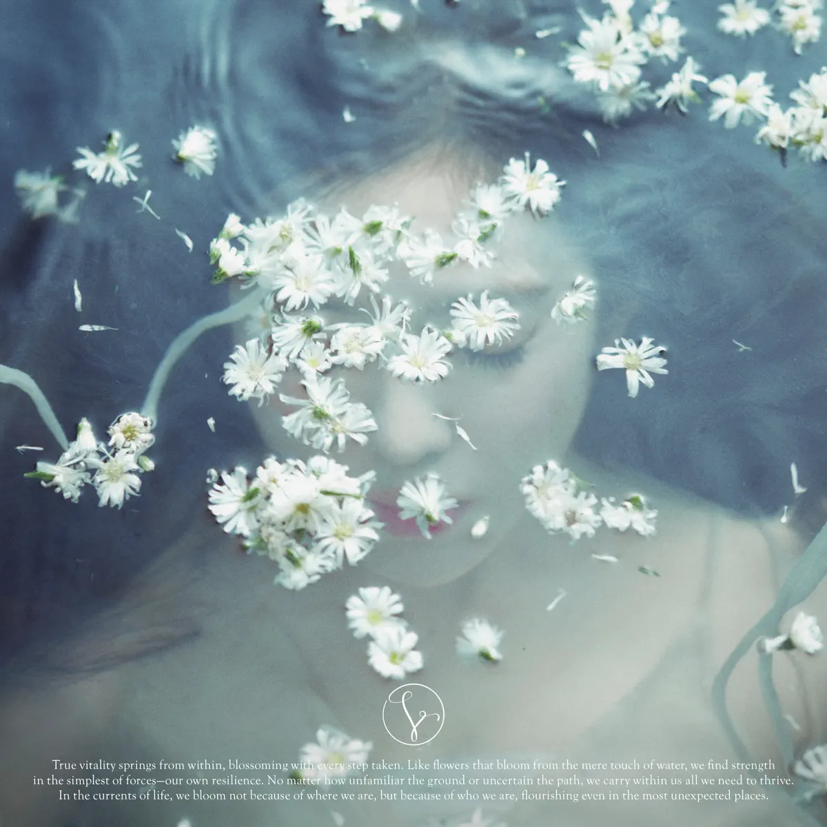 IRENE - Like A Flower - The 1st Mini Album (2024) [iTunes Plus AAC M4A]-新房子