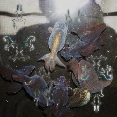 dark souls (feat. prod. 999ines) - Single