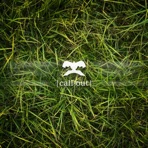 call out - Single