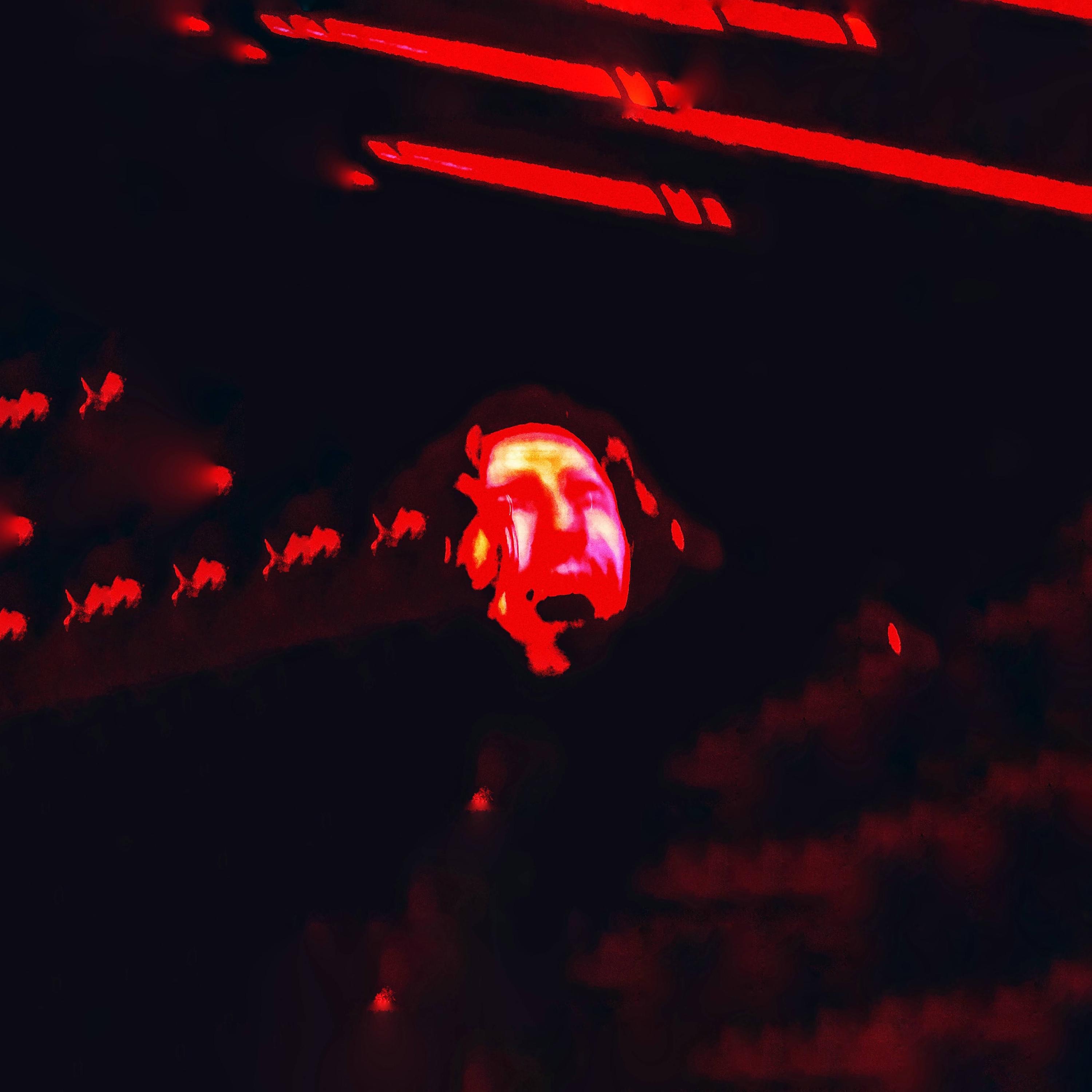 keZin - feelfear (2025)
