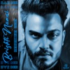 Brishti Namai (Reprise RnB) - Single