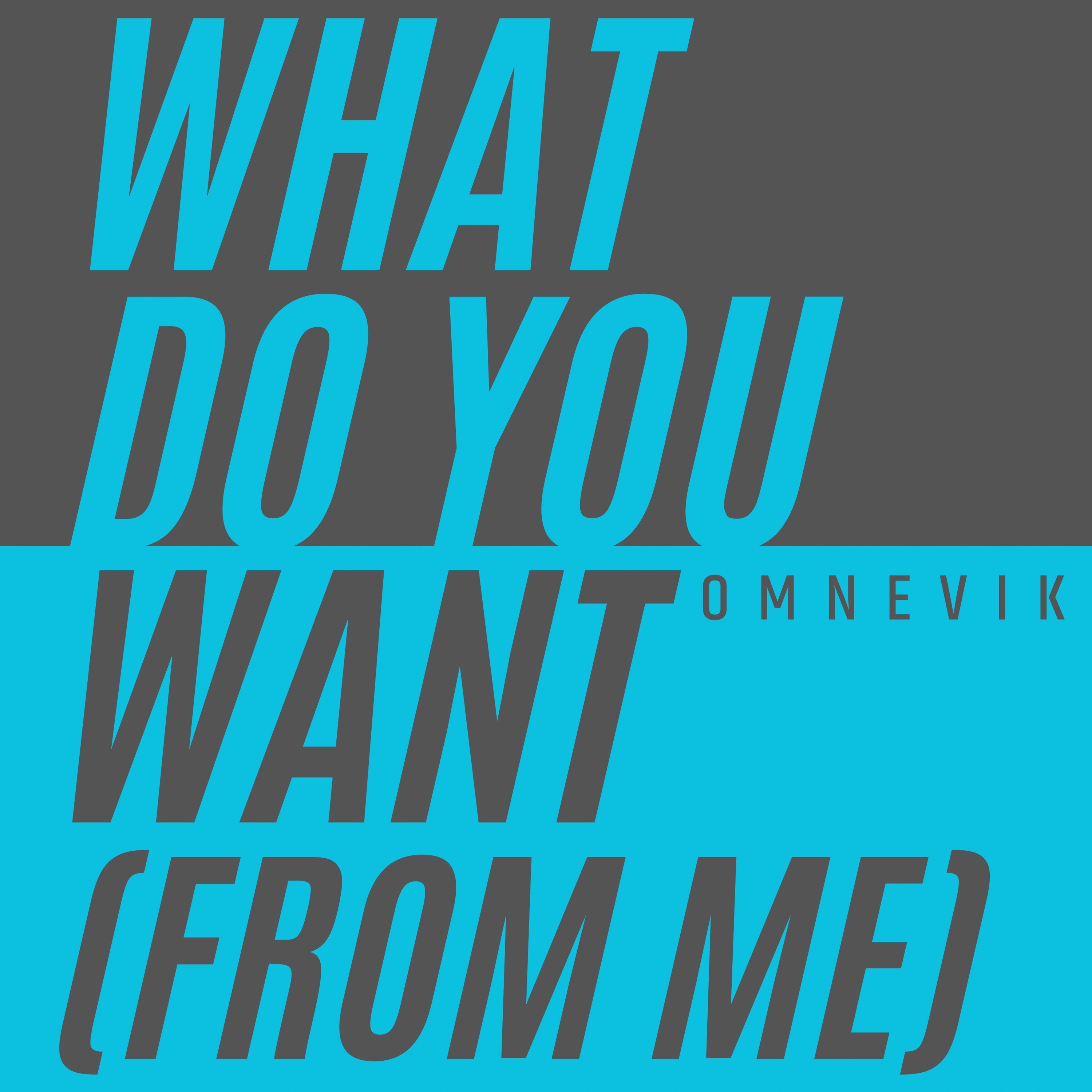 What Do You Want (From Me) - Single