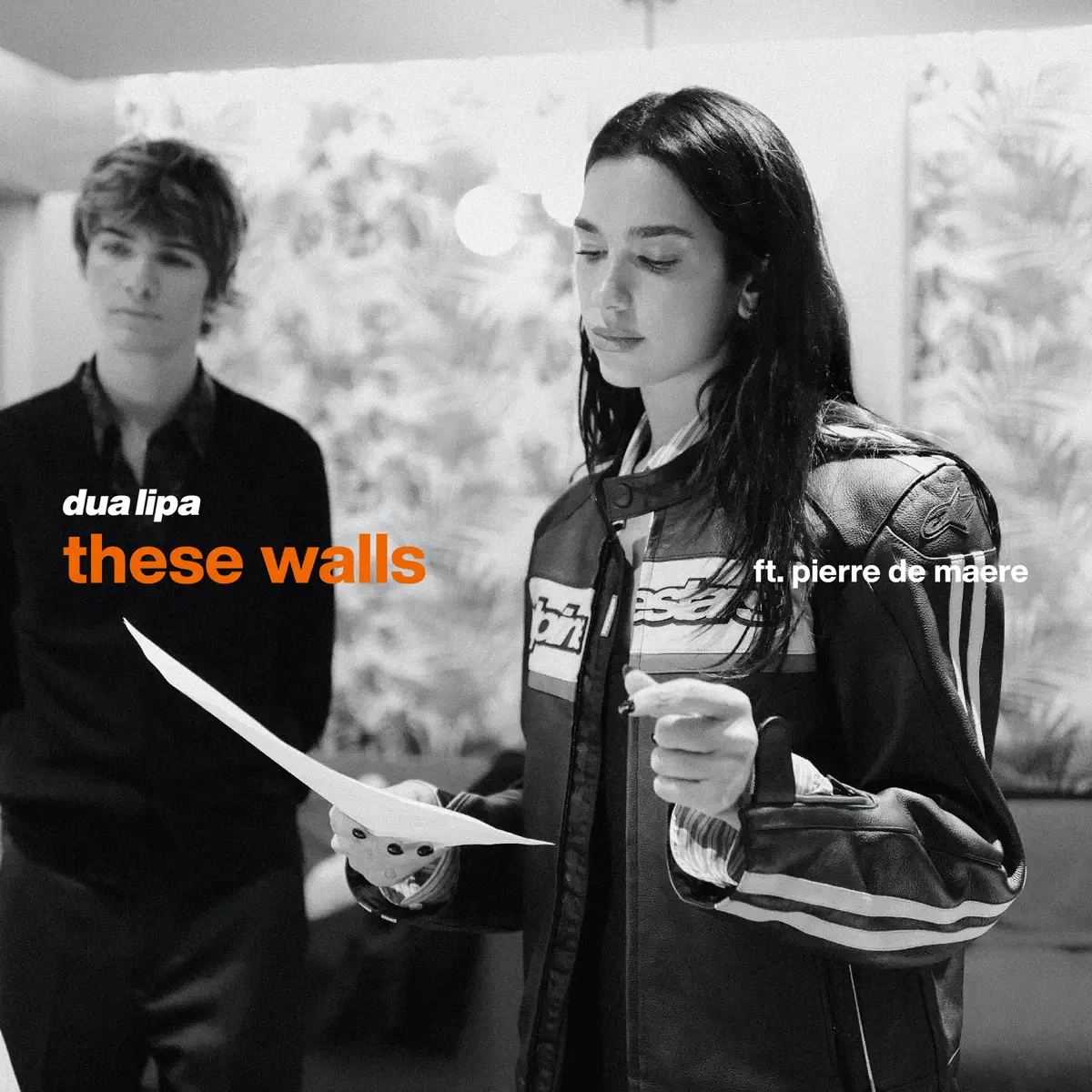 Dua Lipa - These Walls (feat. Pierre de Maere) - Single (2024) [iTunes Plus AAC M4A]-新房子