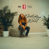 What You Want - Single - DJTR Beats & Jennifer Amara