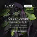 Syncronicity