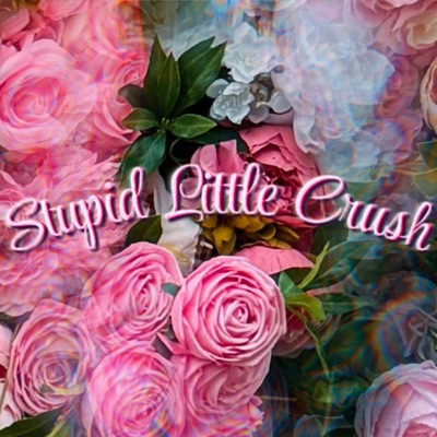Stupid Little Crush - Single