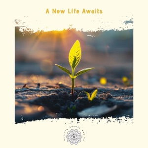A New Life Awaits: Steps to Transformation and Renewal