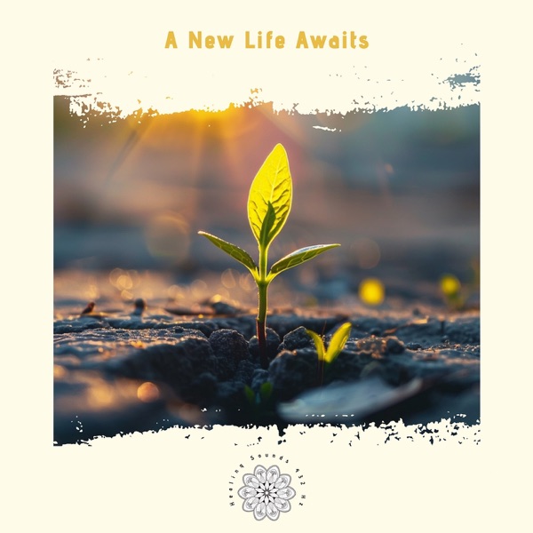 A New Life Awaits: Steps to Transformation and Renewal