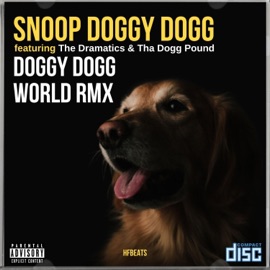 Doggy Dogg World (feat. Snoop Doggy Dog, The Dramatics & Dogg Pound) [Remix] HF bEaTs