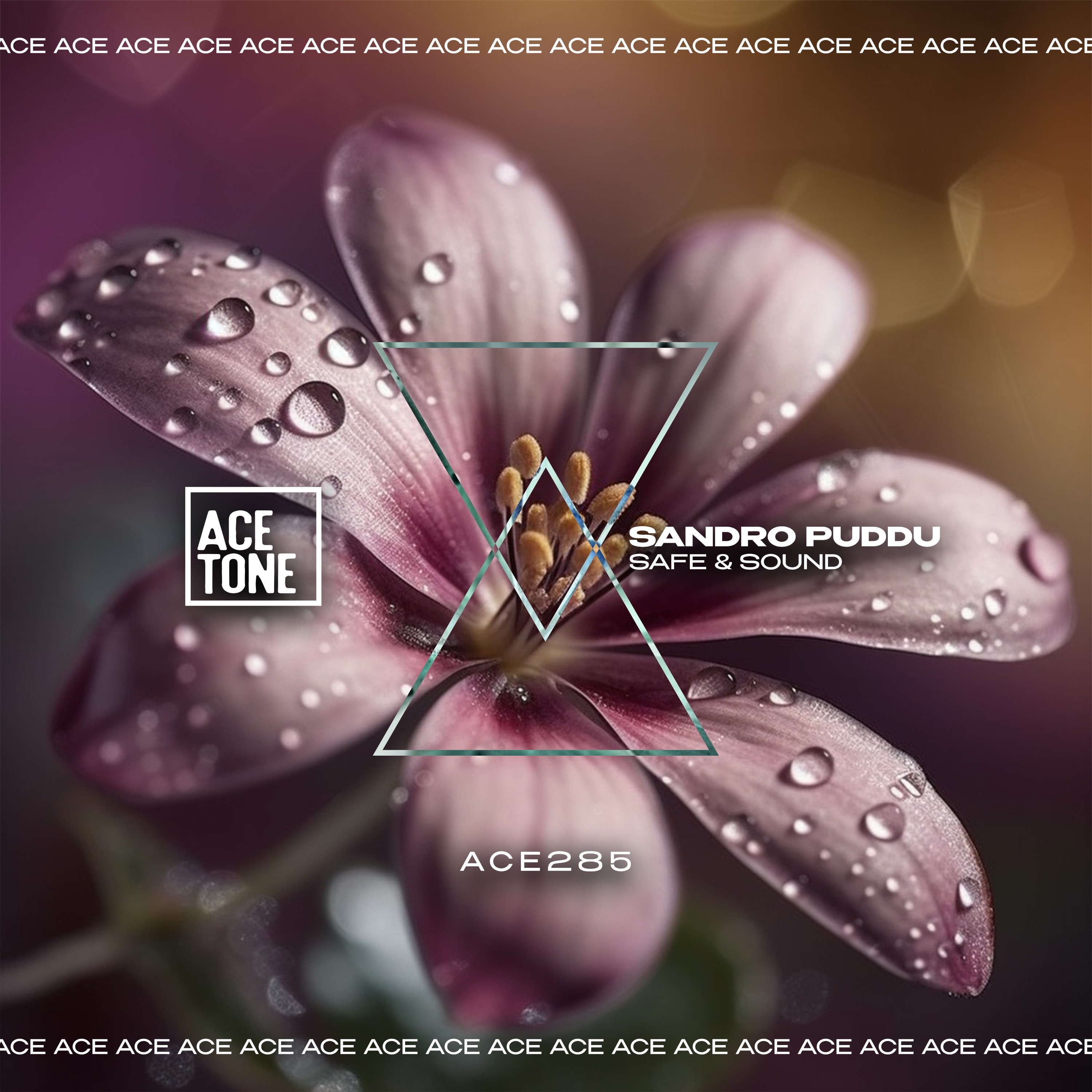 Safe & Sound - Single