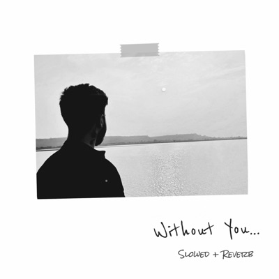 Without You (Slowed + Reverb) - Single