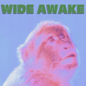 Wide Awake - Single