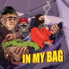 In My Bag (feat. Huginn, Flextony & Pinin-G) - Single