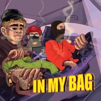 In My Bag (feat. Huginn, Flextony & Pinin-G) - Single - VSGT
