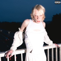 Visions of Hereafter (II) - VASCHA