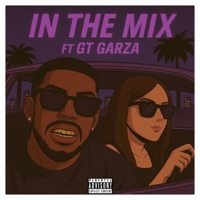 In The Mix F (feat. GT Garza) - Single - Felo aka Felony