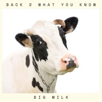 BACK 2 WHAT YOU KNOW - Single - BIG MILK