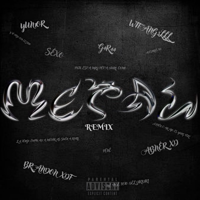Metal (feat. Abnerxd) - Single