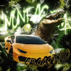 MONTAGEM CROCODILO (SUPER SLOWED)