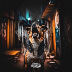 No Barking (feat. FNX47 & B CHUCKS)